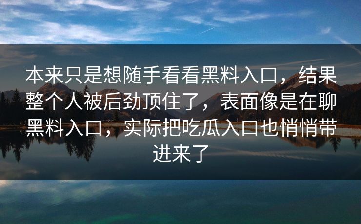 本来只是想随手看看黑料入口，结果整个人被后劲顶住了，表面像是在聊黑料入口，实际把吃瓜入口也悄悄带进来了