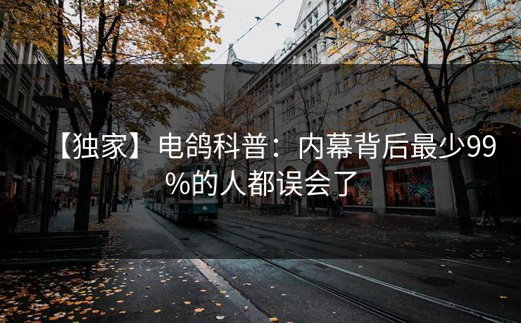 【独家】电鸽科普：内幕背后最少99%的人都误会了